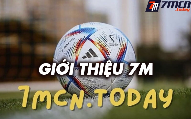 Giới thiệu haianhstudio.com